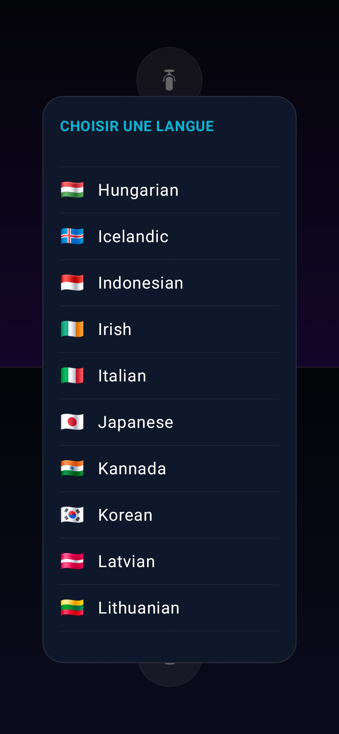 Quick Interpreter AI — offline translation